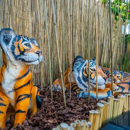 Safari Adventure By Oc Adventure Homes