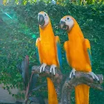 Safari Adventure By Oc Adventure Homes Holiday home Garden Grove