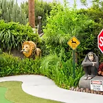Safari Adventure By Oc Adventure Homes Garden Grove