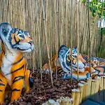 Safari Adventure By Oc Adventure Homes
